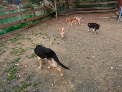 f:id:roukenhome-ann:20181210224322j:plain