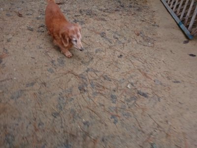 f:id:roukenhome-ann:20181210224328j:plain