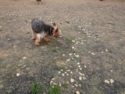 f:id:roukenhome-ann:20181210224405j:plain