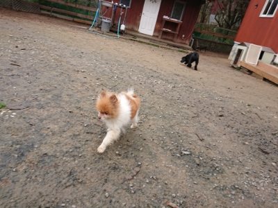 f:id:roukenhome-ann:20181210224419j:plain