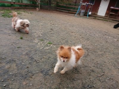 f:id:roukenhome-ann:20181210224424j:plain