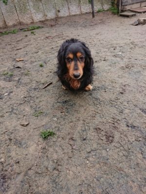 f:id:roukenhome-ann:20181210224430j:plain