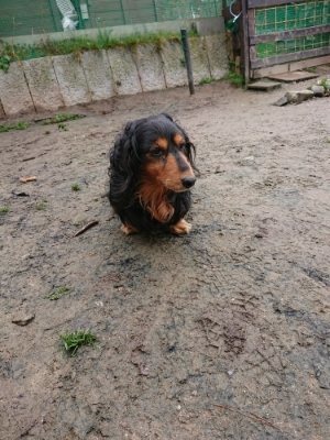 f:id:roukenhome-ann:20181210224436j:plain