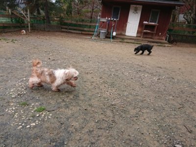 f:id:roukenhome-ann:20181210224444j:plain
