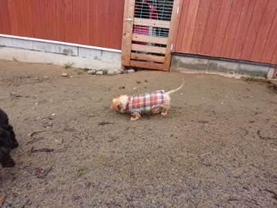 f:id:roukenhome-ann:20181210224523j:plain