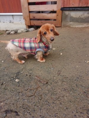 f:id:roukenhome-ann:20181210225445j:plain