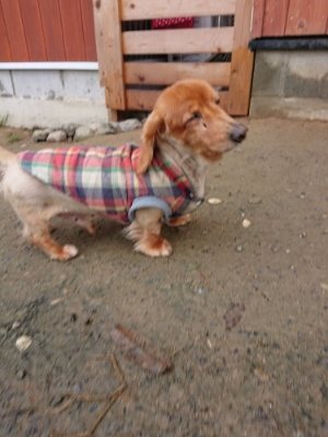f:id:roukenhome-ann:20181210225451j:plain