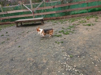 f:id:roukenhome-ann:20181210225528j:plain