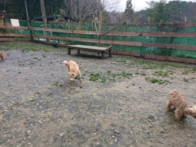 f:id:roukenhome-ann:20181213182515j:plain