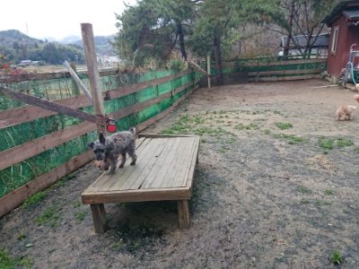 f:id:roukenhome-ann:20181213182521j:plain