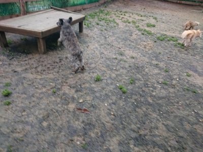 f:id:roukenhome-ann:20181213182552j:plain