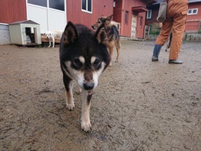 f:id:roukenhome-ann:20181213182558j:plain