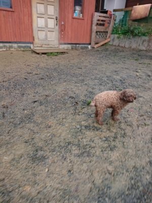 f:id:roukenhome-ann:20181213182711j:plain