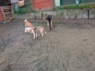 f:id:roukenhome-ann:20181213183112j:plain
