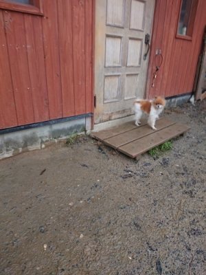 f:id:roukenhome-ann:20181213183120j:plain