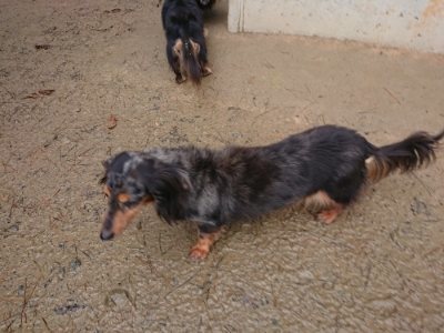 f:id:roukenhome-ann:20181213183221j:plain