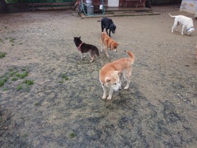 f:id:roukenhome-ann:20181213183306j:plain