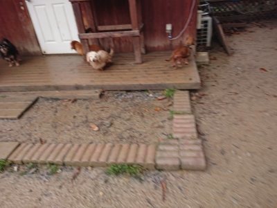 f:id:roukenhome-ann:20181213183446j:plain