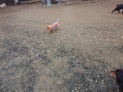 f:id:roukenhome-ann:20181213184208j:plain