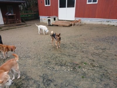 f:id:roukenhome-ann:20181213184244j:plain