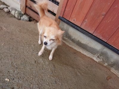 f:id:roukenhome-ann:20181213184312j:plain