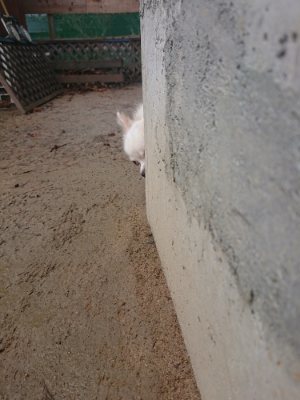 f:id:roukenhome-ann:20181213184324j:plain