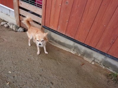 f:id:roukenhome-ann:20181213184502j:plain