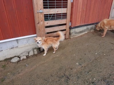 f:id:roukenhome-ann:20181213184511j:plain