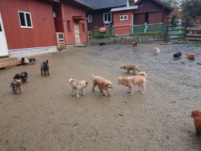 f:id:roukenhome-ann:20181213193938j:plain