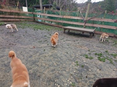 f:id:roukenhome-ann:20181213194203j:plain