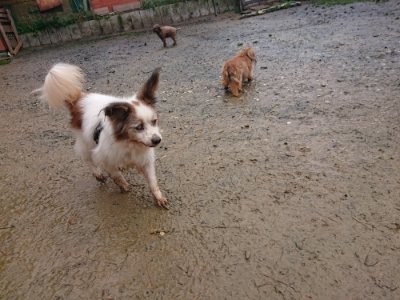 f:id:roukenhome-ann:20181213194332j:plain
