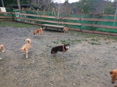 f:id:roukenhome-ann:20181213194342j:plain