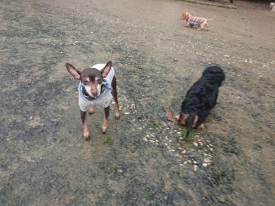 f:id:roukenhome-ann:20181213194352j:plain