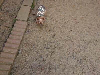 f:id:roukenhome-ann:20181213194541j:plain