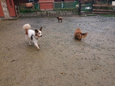 f:id:roukenhome-ann:20181213194852j:plain