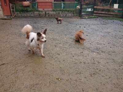 f:id:roukenhome-ann:20181213194857j:plain