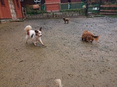 f:id:roukenhome-ann:20181213194931j:plain
