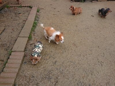 f:id:roukenhome-ann:20181213194936j:plain