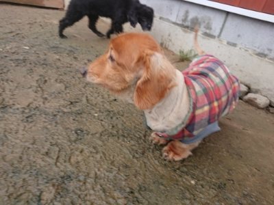 f:id:roukenhome-ann:20181213195045j:plain