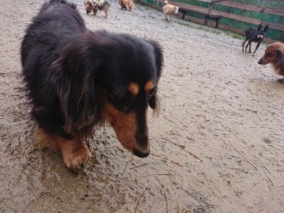 f:id:roukenhome-ann:20181213195135j:plain