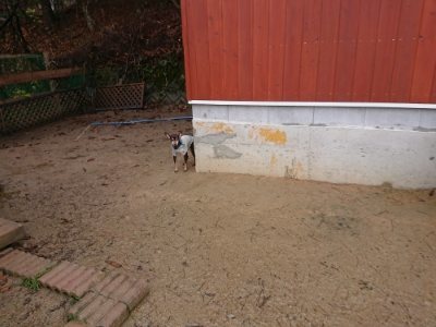 f:id:roukenhome-ann:20181215053337j:plain