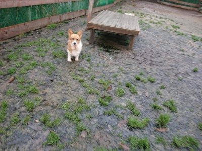 f:id:roukenhome-ann:20181215053421j:plain