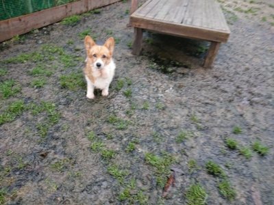 f:id:roukenhome-ann:20181215053426j:plain