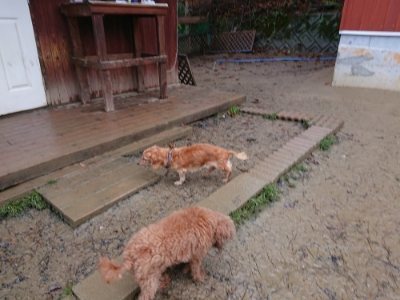 f:id:roukenhome-ann:20181215071256j:plain