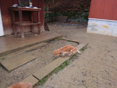 f:id:roukenhome-ann:20181215071323j:plain
