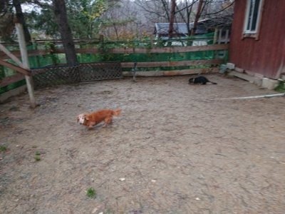 f:id:roukenhome-ann:20181215071441j:plain