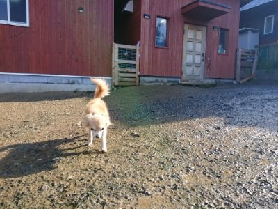 f:id:roukenhome-ann:20181215071627j:plain