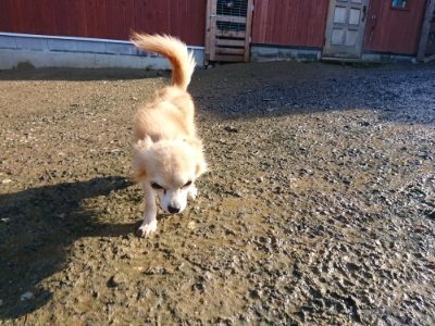 f:id:roukenhome-ann:20181215071631j:plain