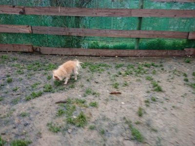 f:id:roukenhome-ann:20181215071649j:plain