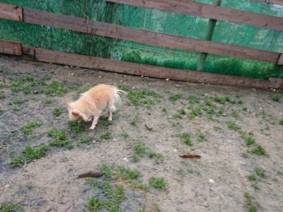 f:id:roukenhome-ann:20181215071712j:plain